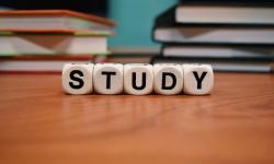 Featured image of post 「工具经验」探索与研究——艺术学硕士的「成长路径」心得