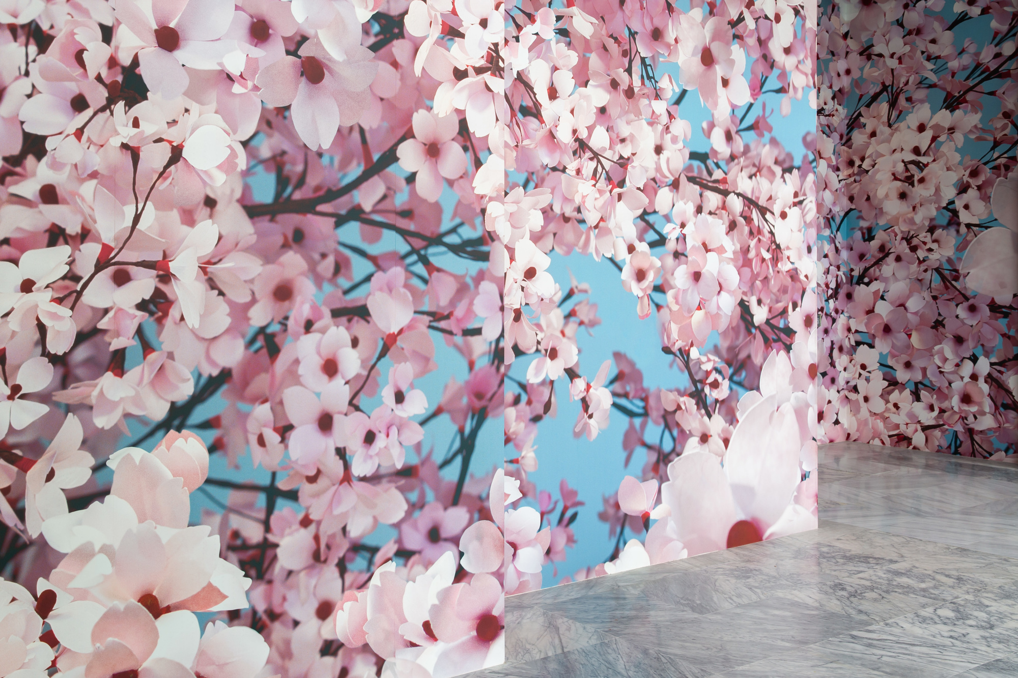 托瑪斯．德曼，《花見》© Thomas Demand，VG Bild-Kunst，Bonn.（照片提供／台北市立美術館）