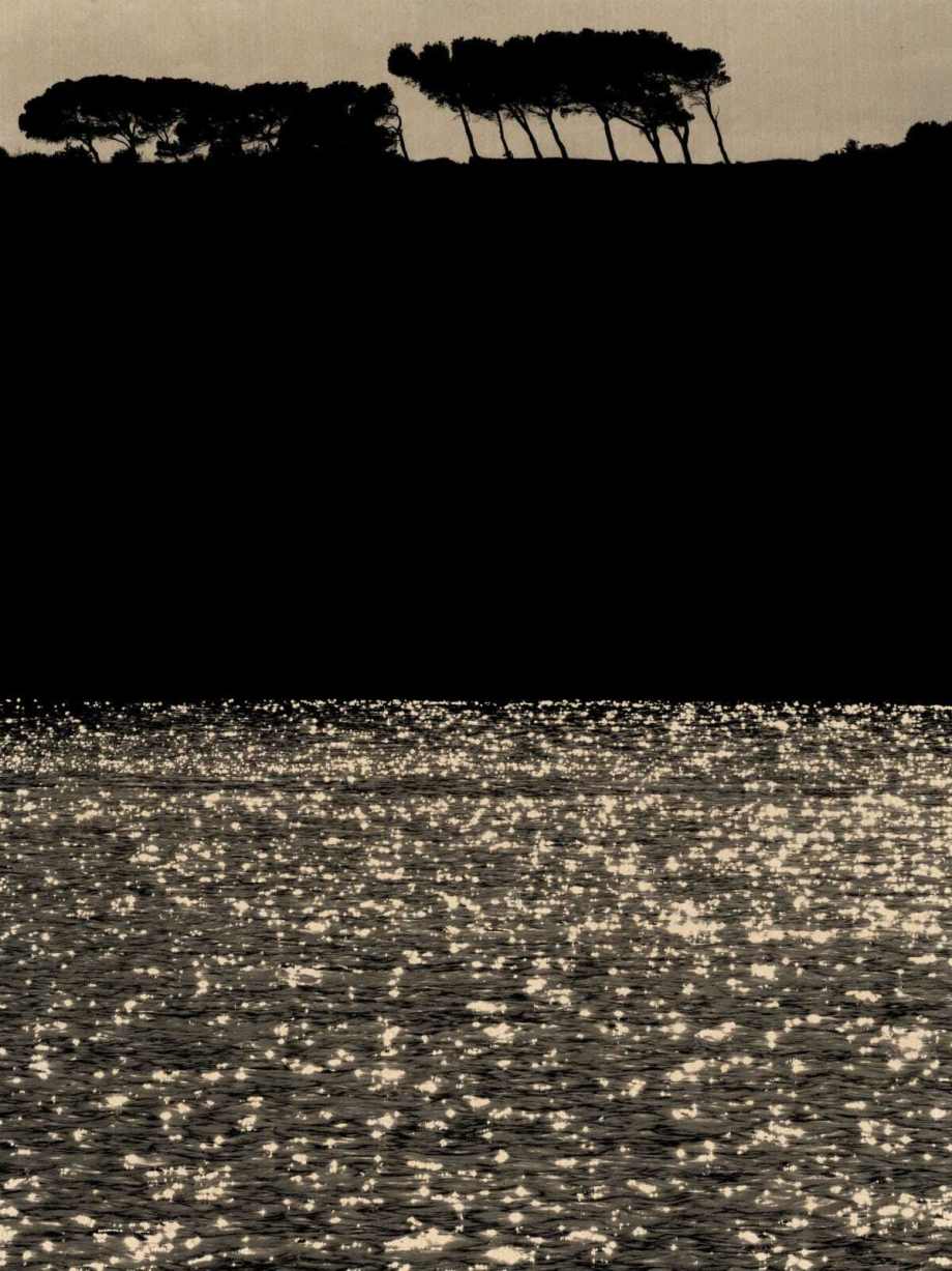 禅意的东方美学 ​​​​ | 摄影师Paul Cupido