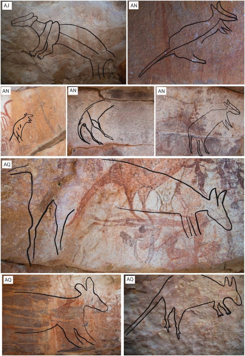 LNF animal shapes on rock walls in Kimberley with digital sketches emphasizing their outlines and lack of infill