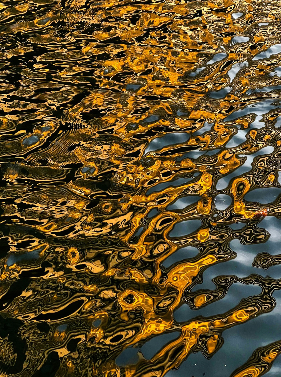 城市倒影 摄影师Charlotte Laboyrie