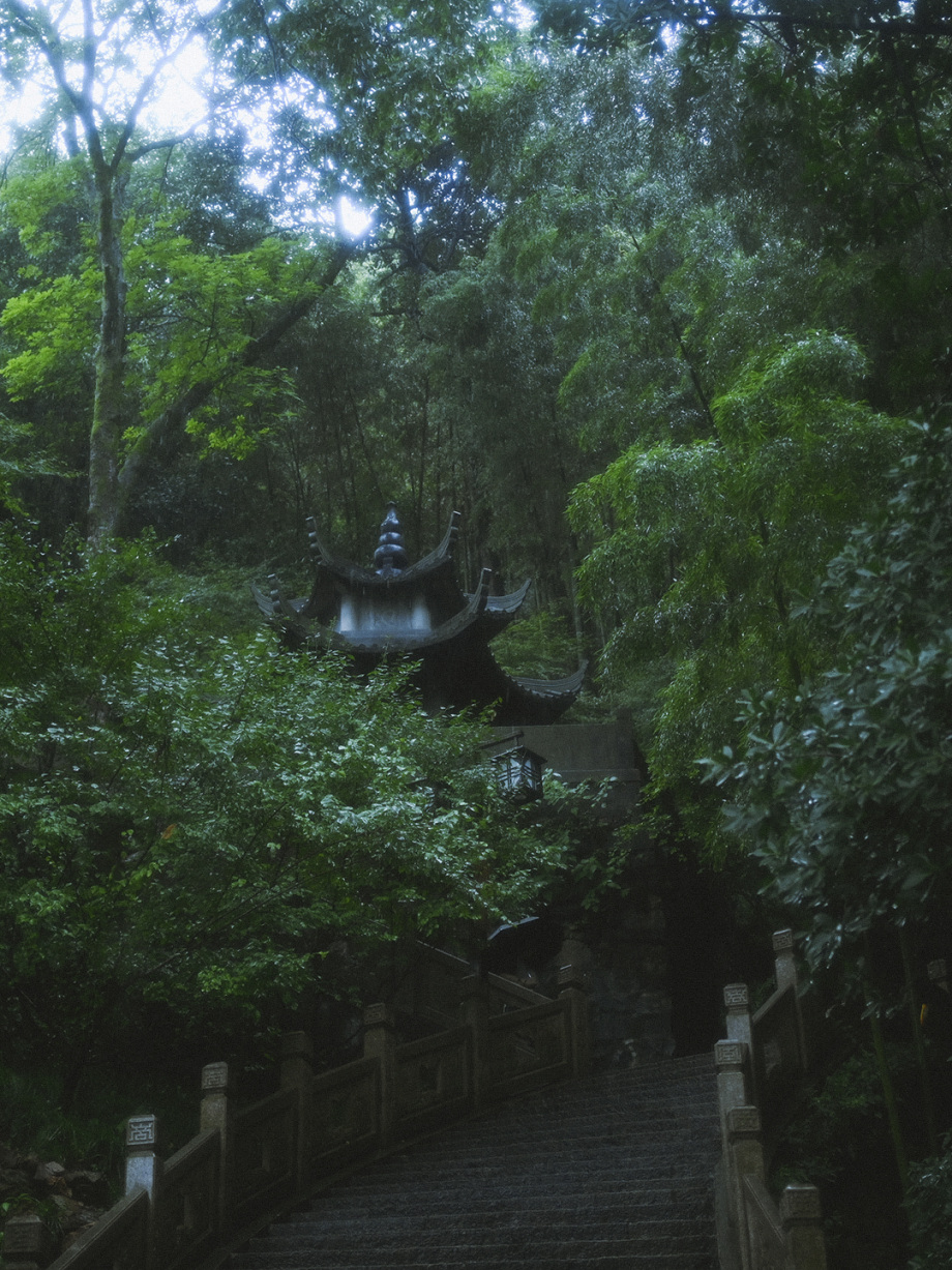 听见下雨的声音。