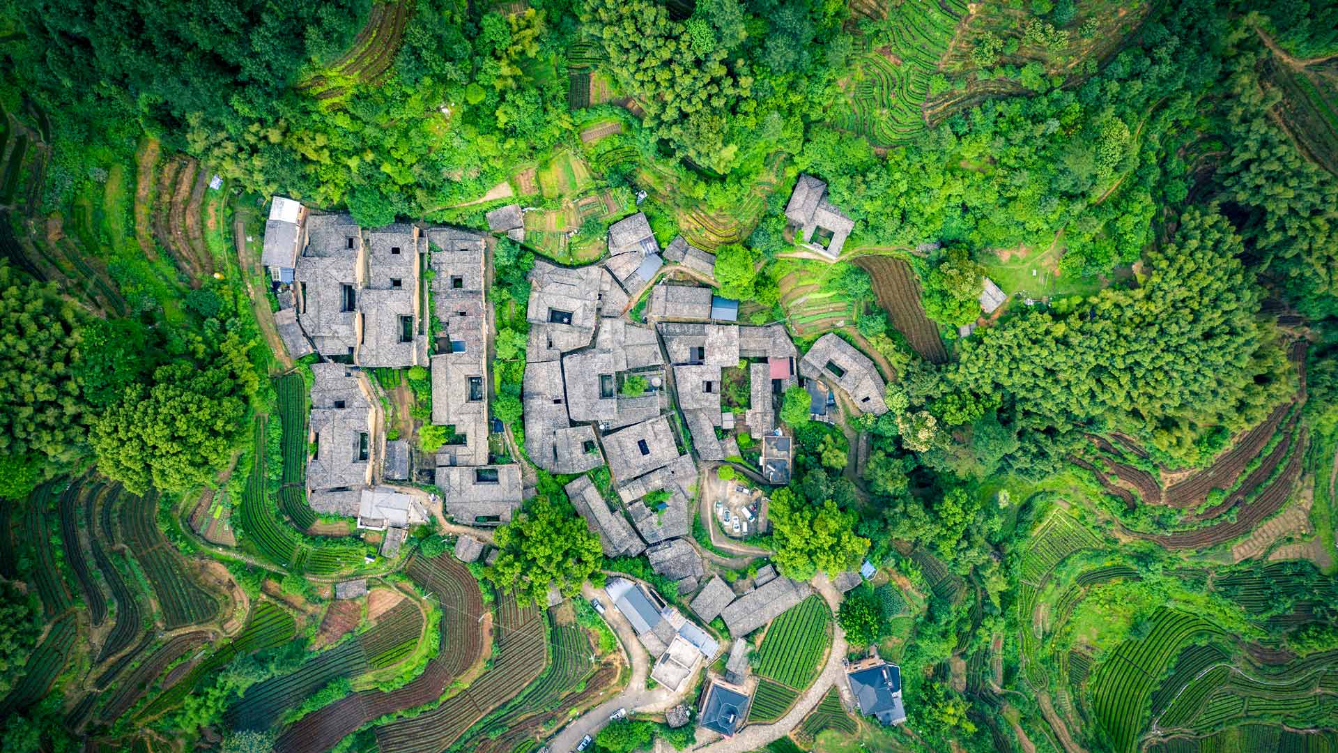 杨家塘村，松阳县，中国