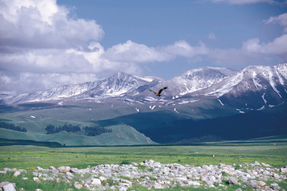 做一个关于飞翔的梦