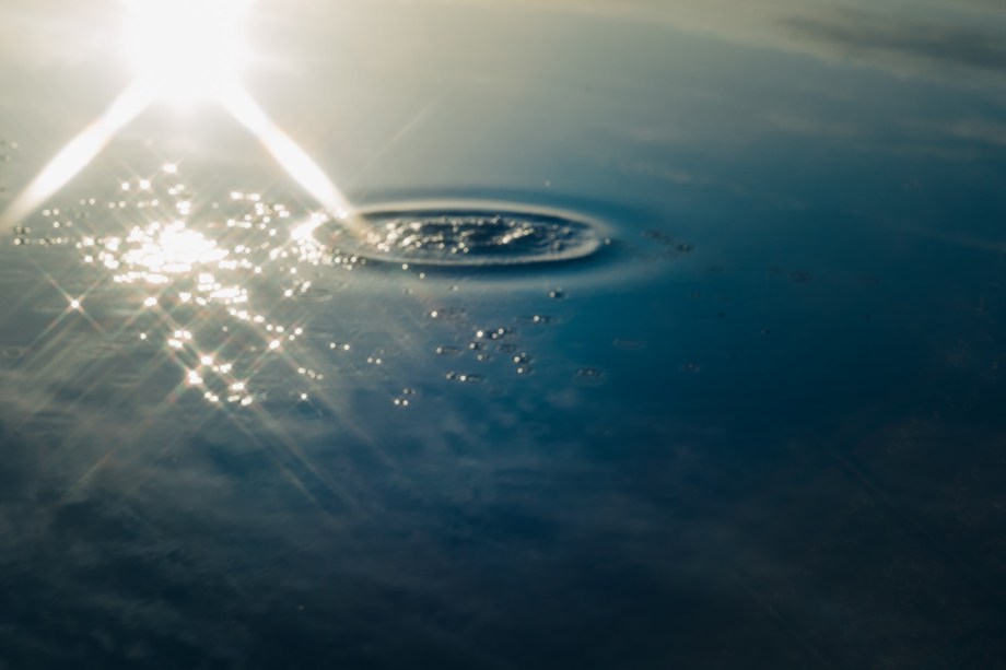 夏日胶片影像 摄影师lisa arima