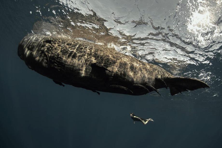 人体&自然 摄影师Natalie Karpushenko艺术作品