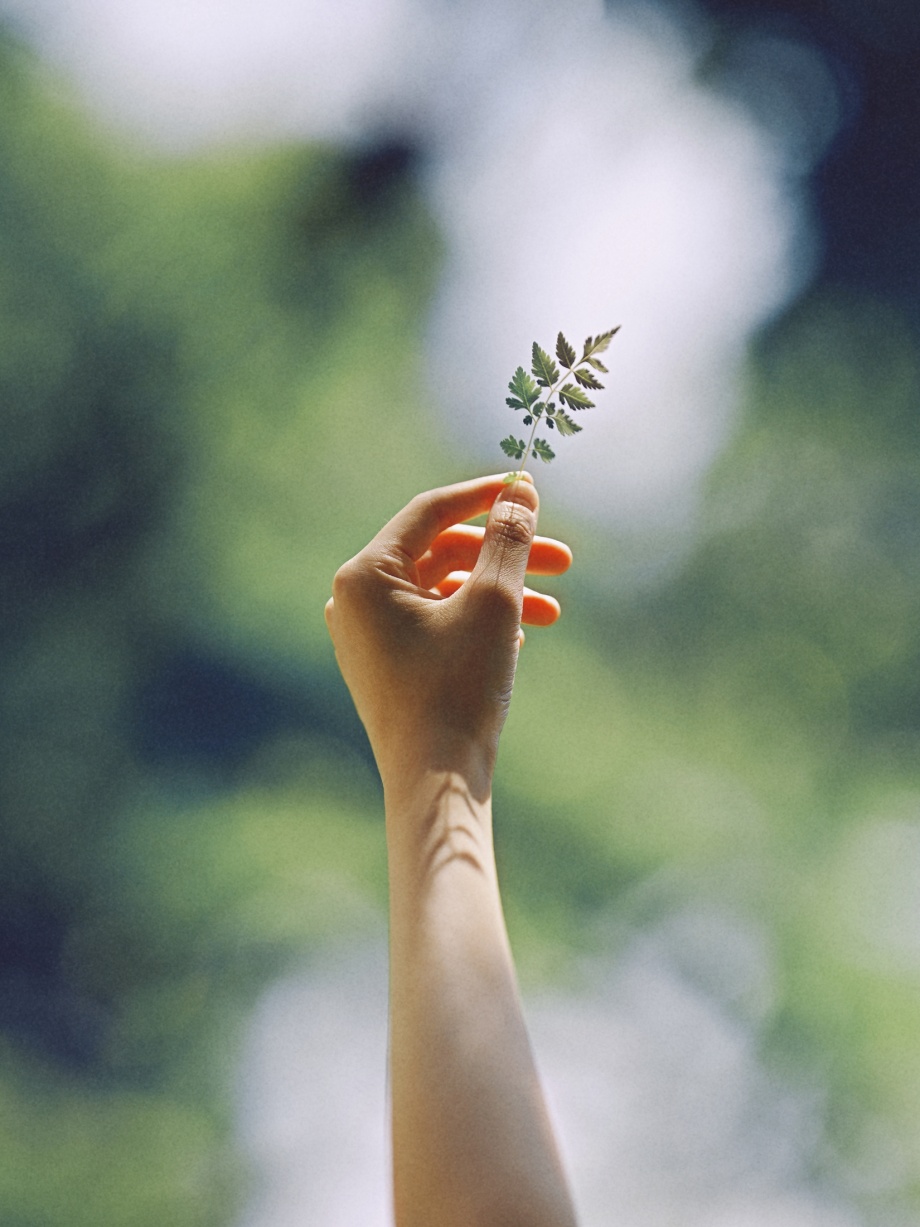 如果你要拍夏天