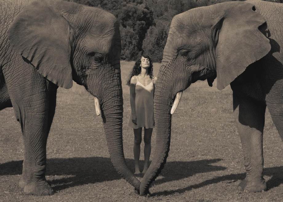 摄影师Natalie Karpushenko艺术影像 人与自然