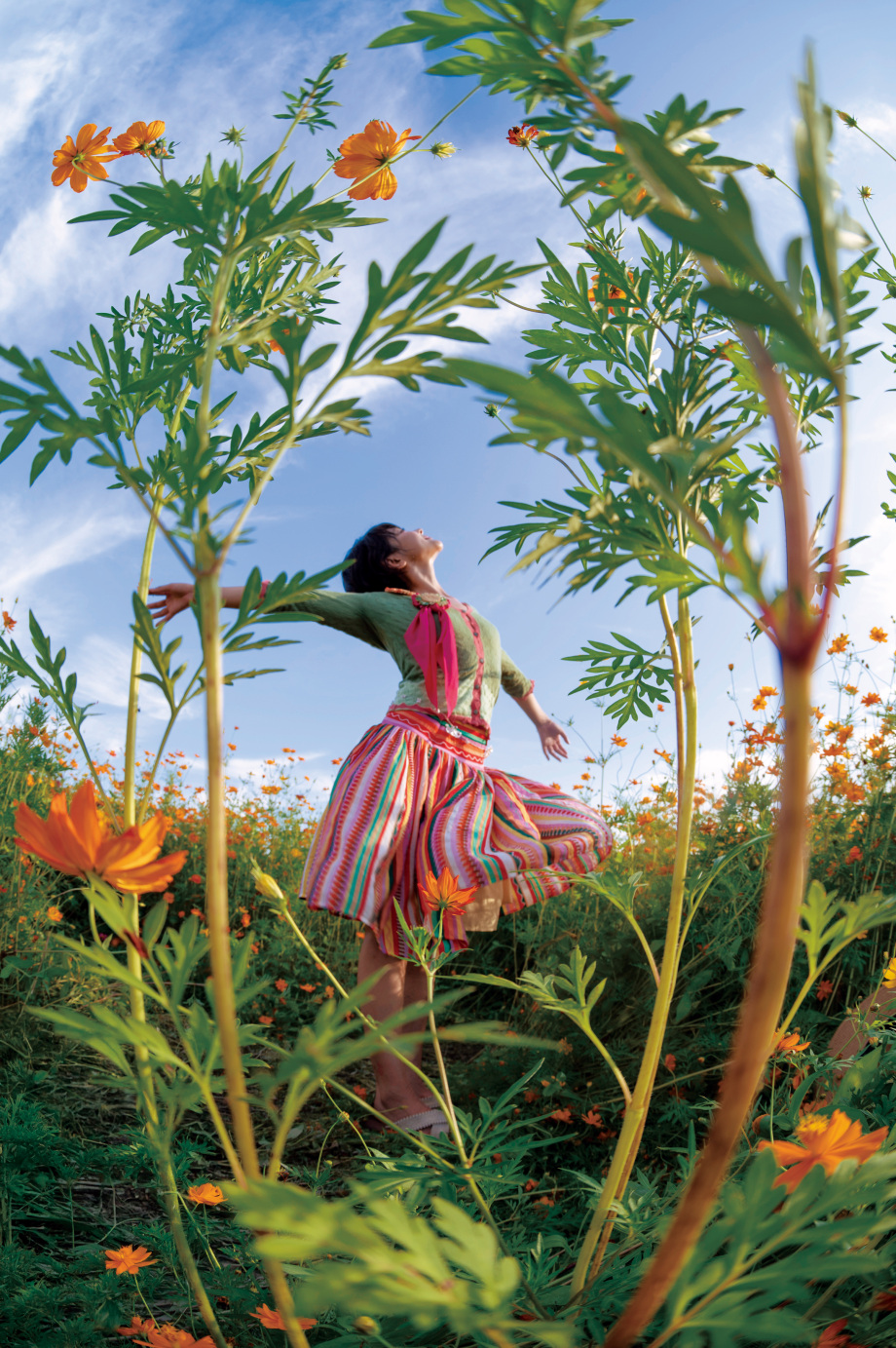 记一个晴朗有风的夏日午后