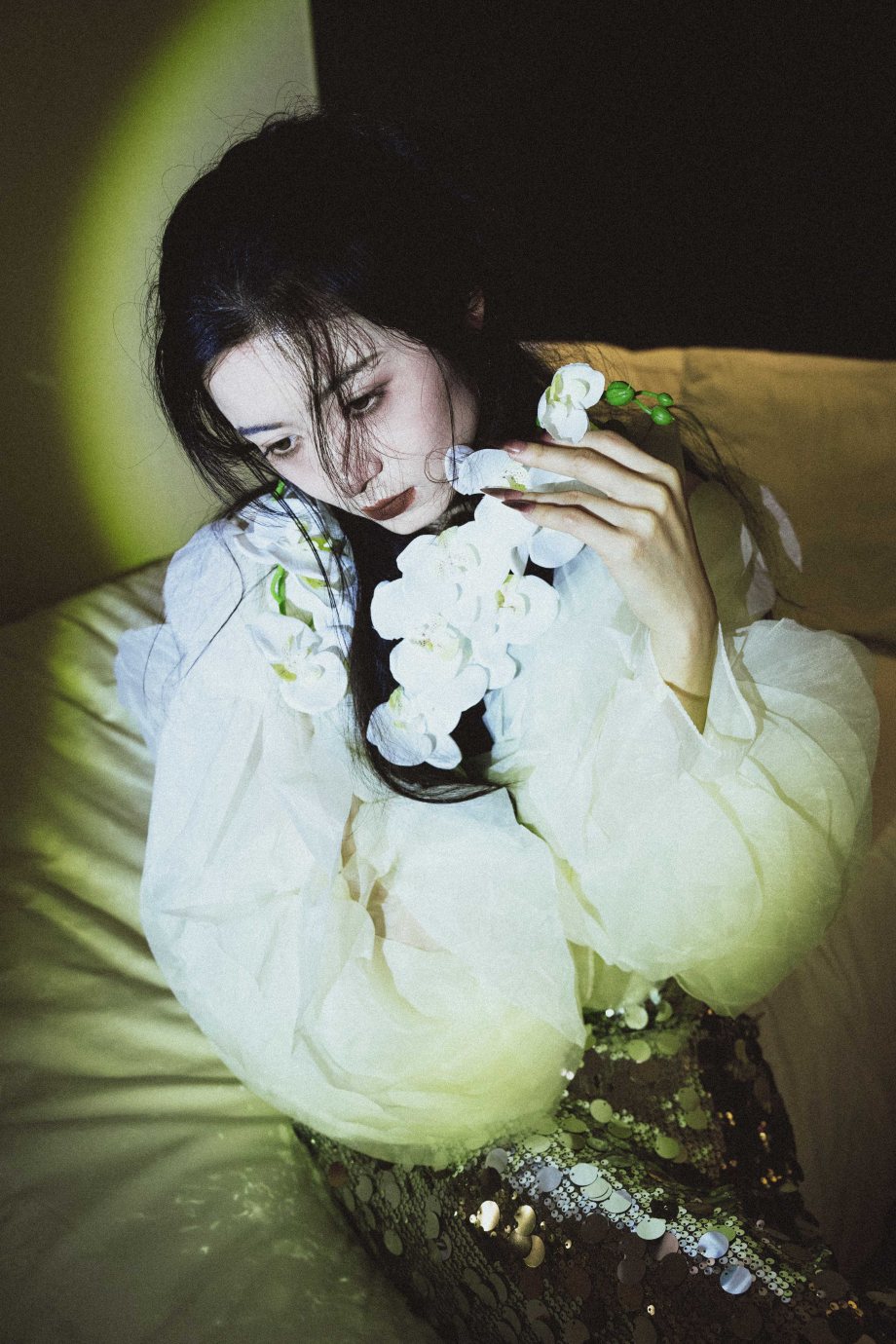 梦里落花三百回