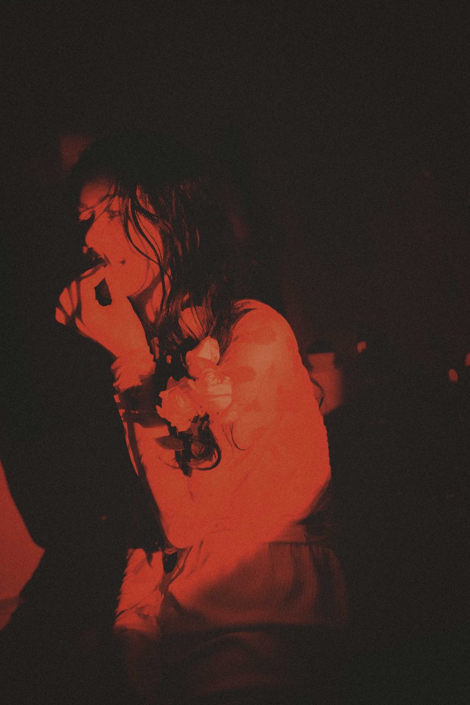 梦里落花三百回