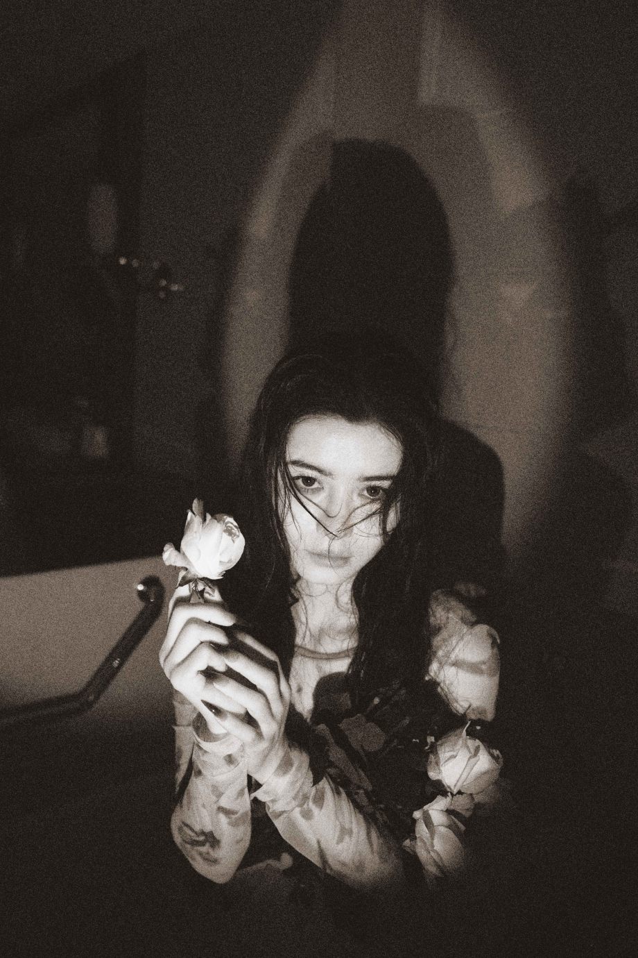 梦里落花三百回