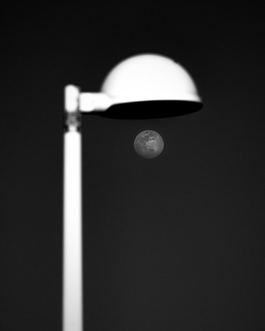 月 摄影师Dominic Dähncke