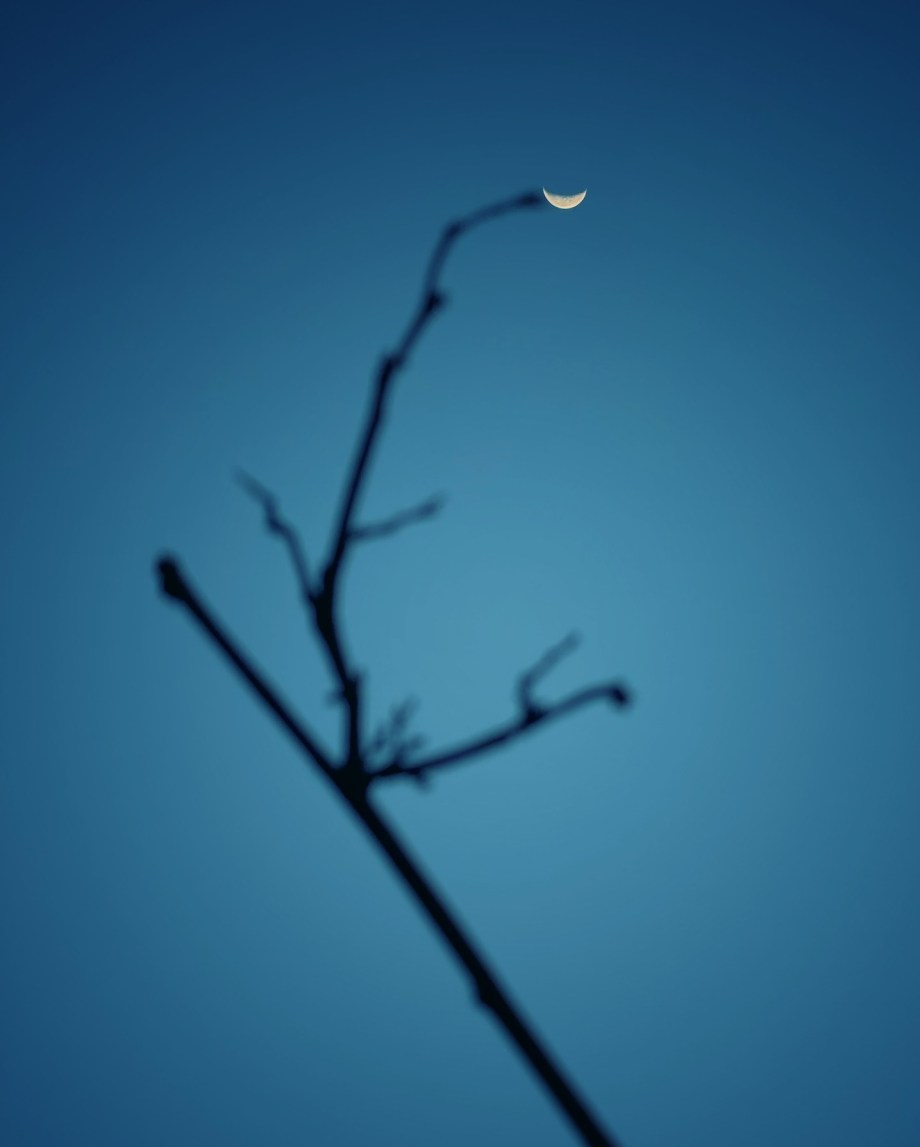 月 摄影师Dominic Dähncke