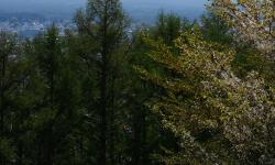 Featured image of post 「SF周刊」2025年第24期（总第24期）