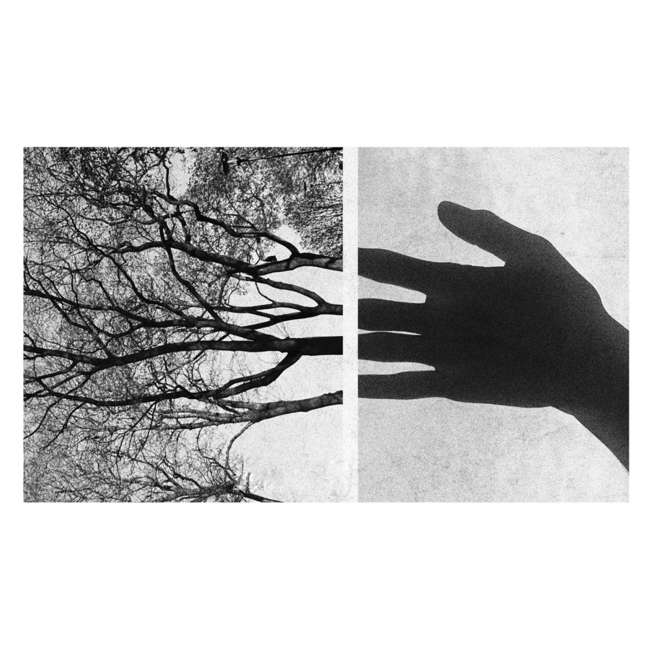 摄影师Joakim Möller作品