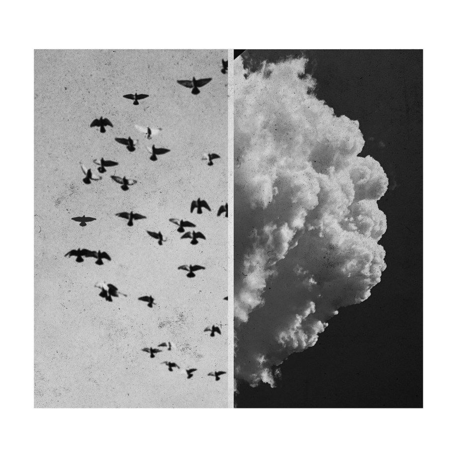 摄影师Joakim Möller作品