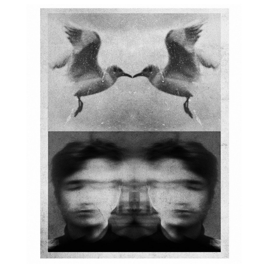 摄影师Joakim Möller作品