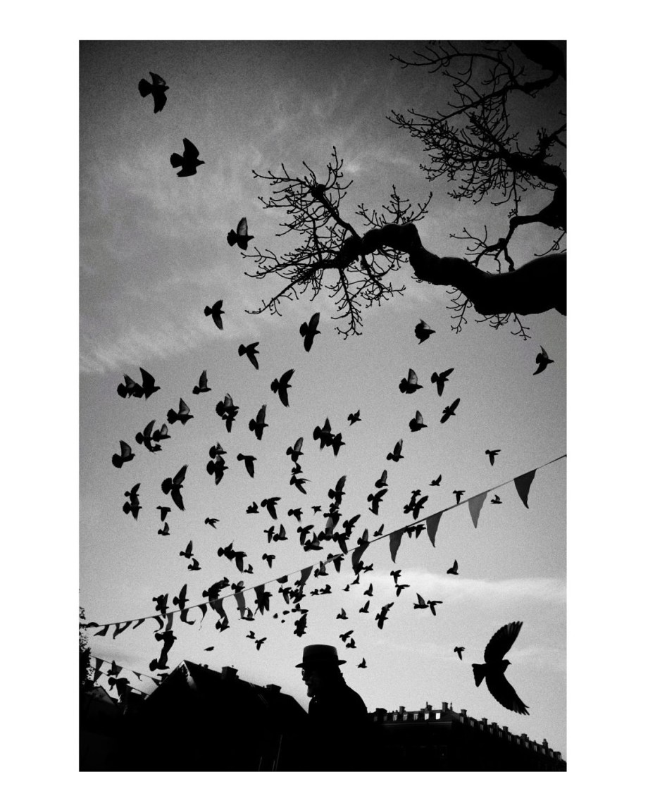 摄影师Joakim Möller作品