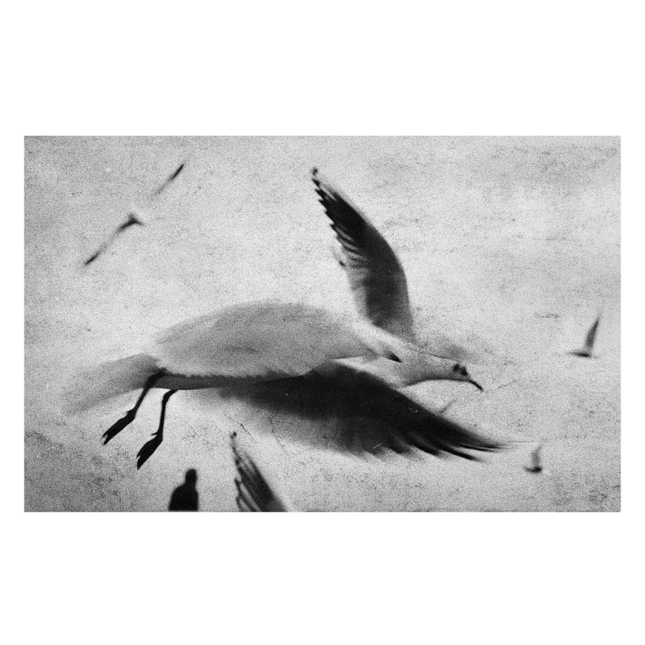 摄影师Joakim Möller作品