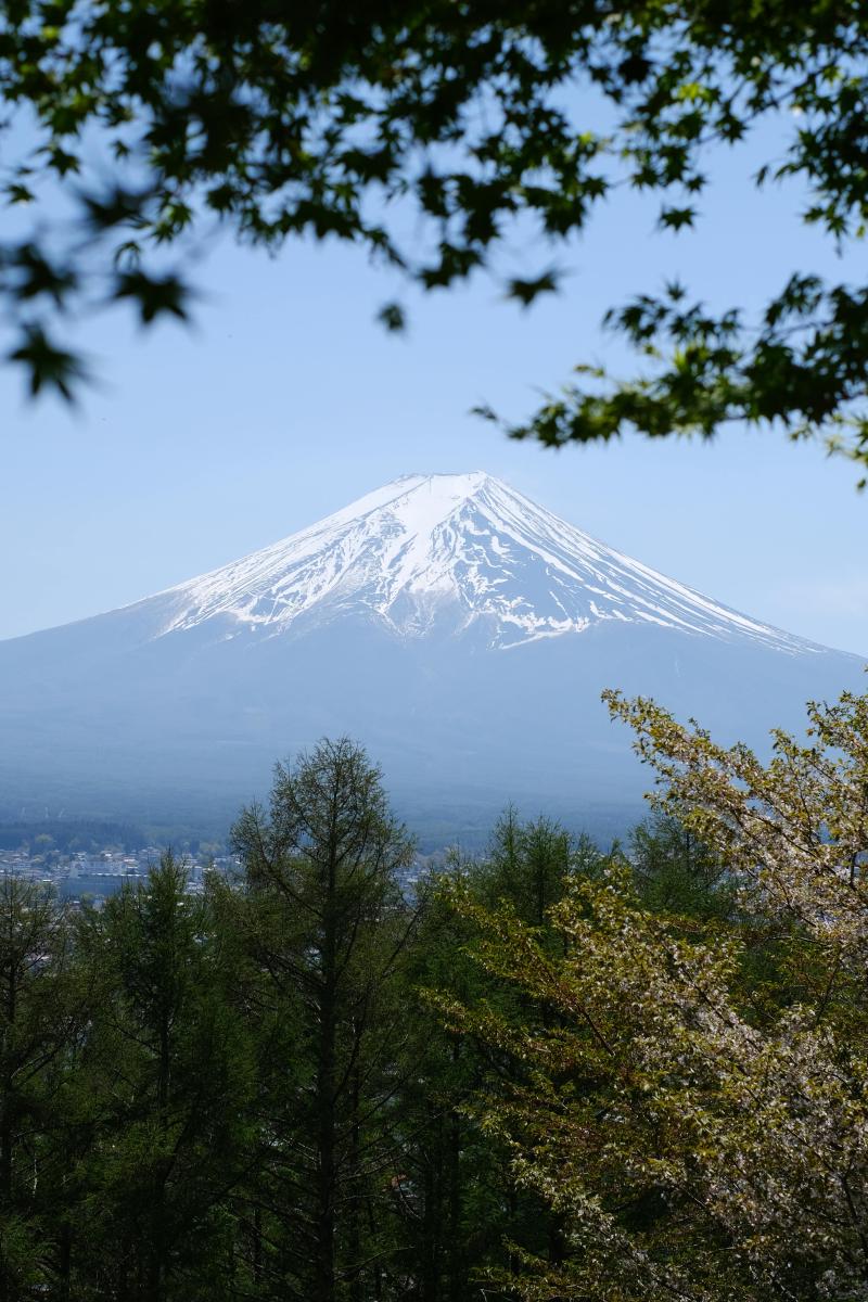 Featured image of post 「SF周刊」2025年第24期