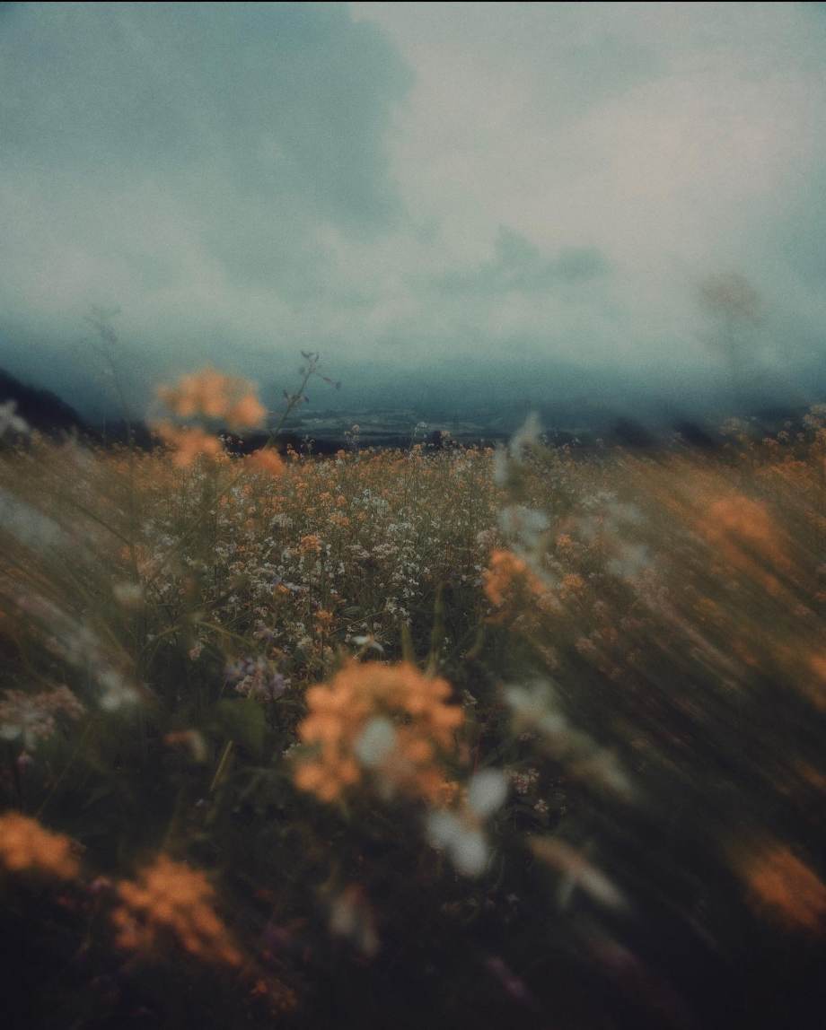 梦里的风景 摄影师thaddäus