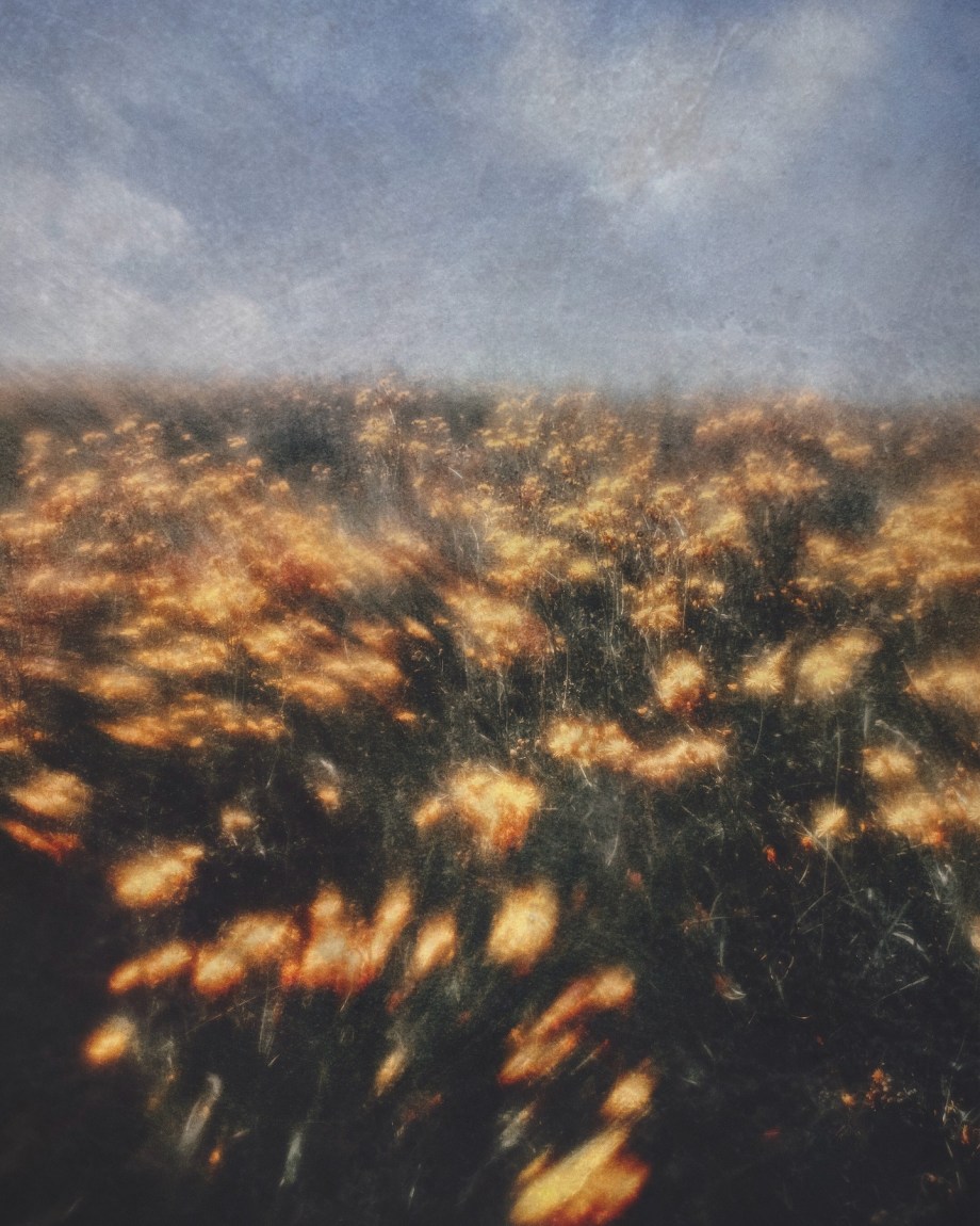 梦里的风景 摄影师thaddäus