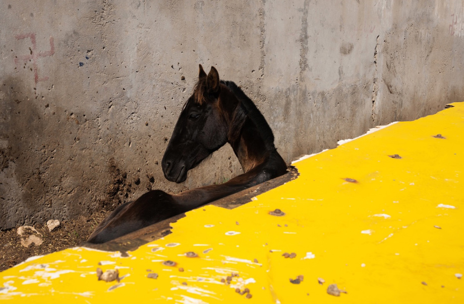 有趣的街头 捕捉的街头有趣的瞬间，摄影师Tavepong Pratoomwong作品