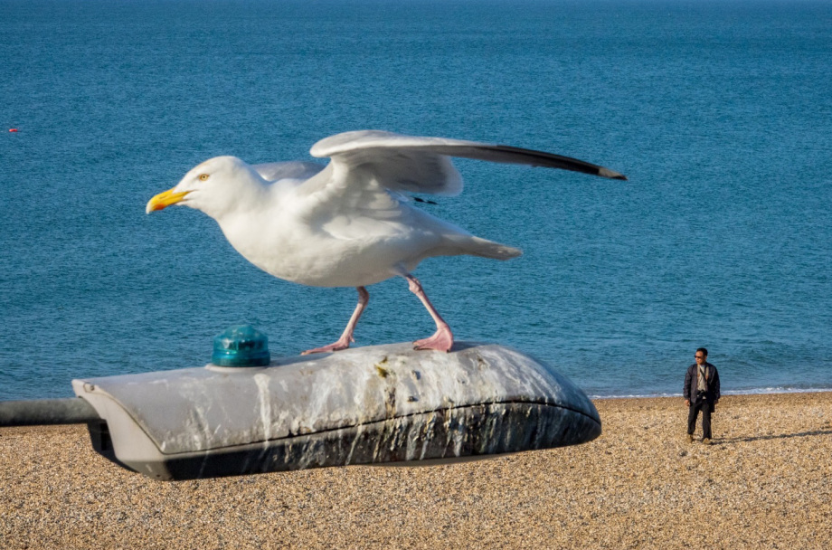 有趣的街头 捕捉的街头有趣的瞬间，摄影师Tavepong Pratoomwong作品