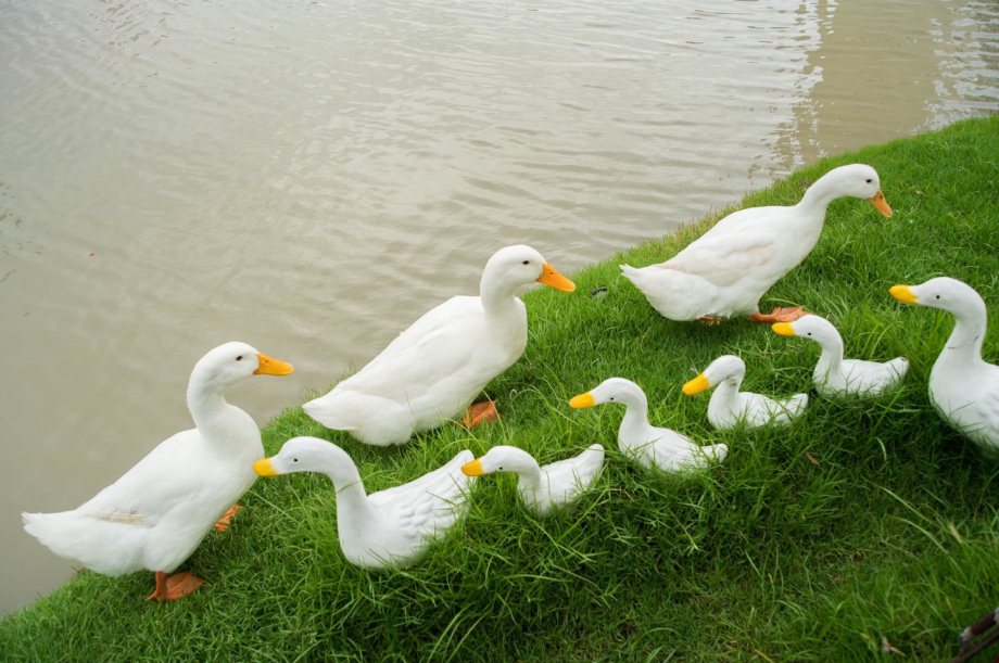 有趣的街头 捕捉的街头有趣的瞬间，摄影师Tavepong Pratoomwong作品