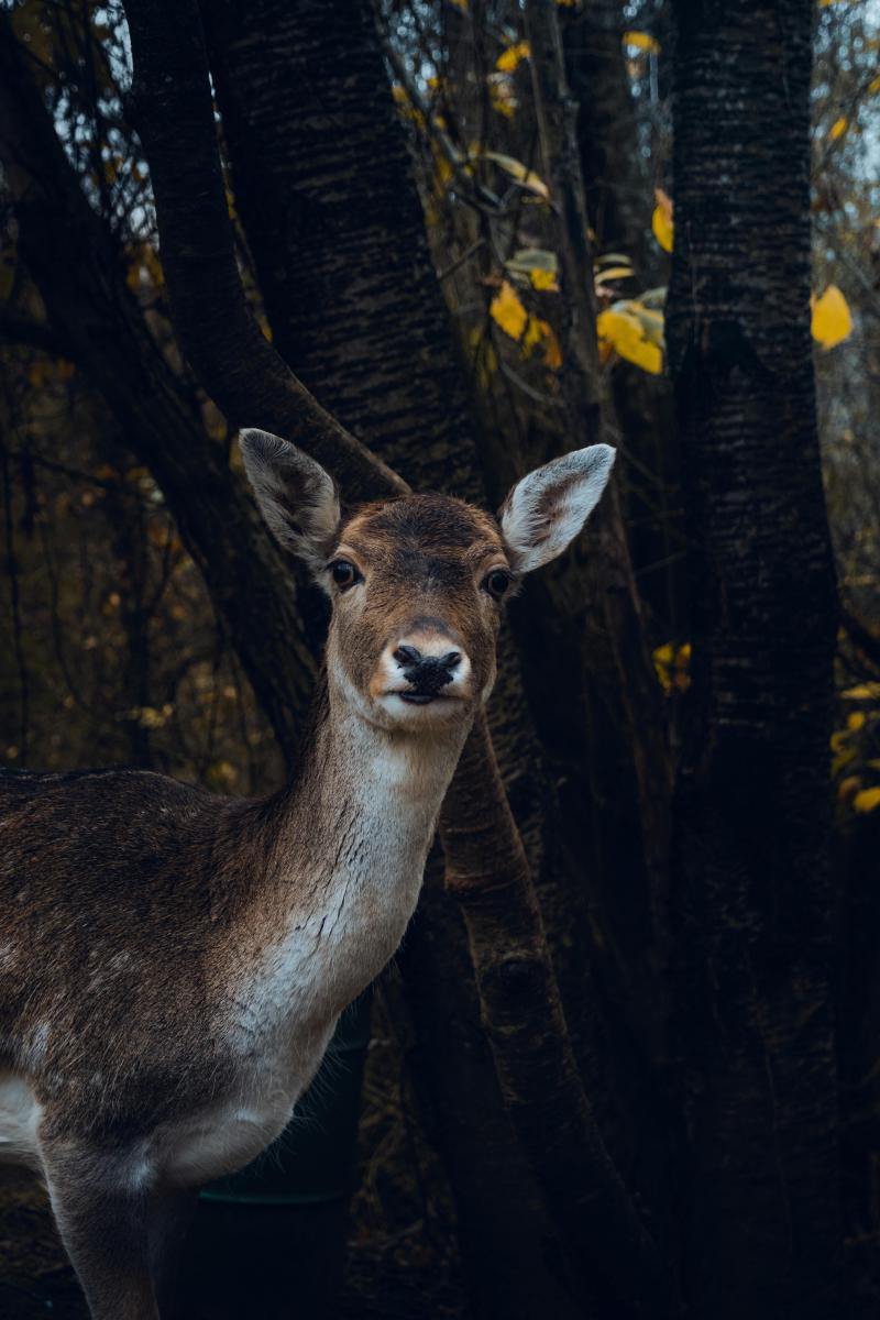 Featured image of post 「SF周刊」2025年第3期（总第3期）