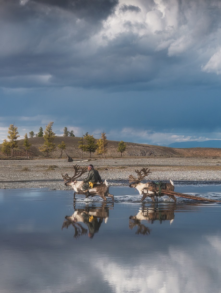 蒙古北部的驯鹿部落 摄影师Daniel Kordan