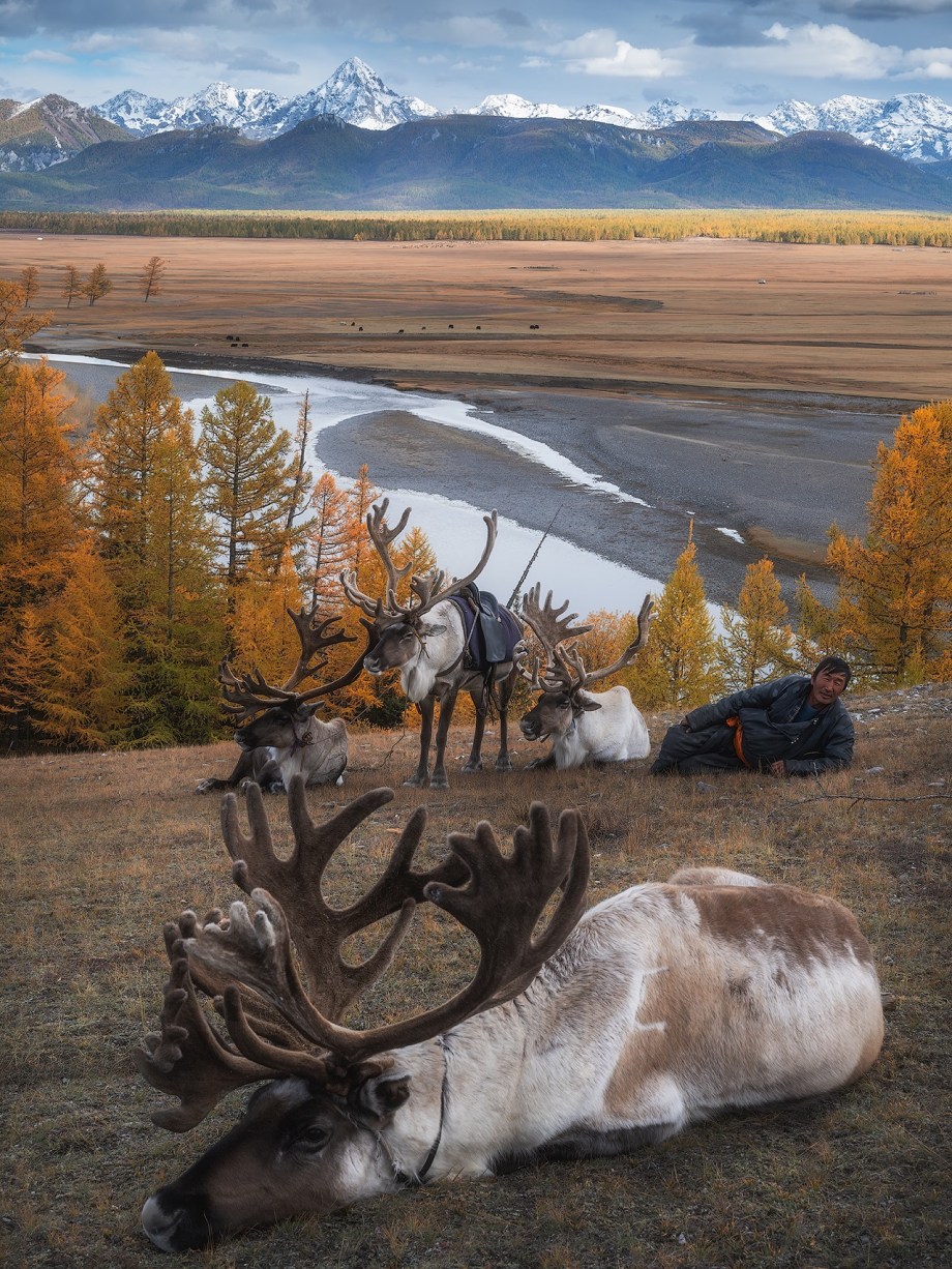 蒙古北部的驯鹿部落 摄影师Daniel Kordan