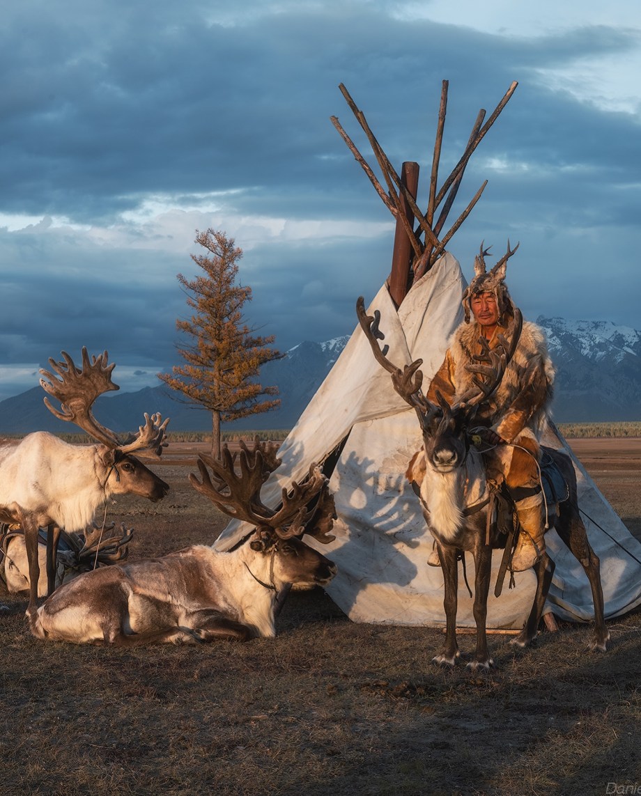 蒙古北部的驯鹿部落 摄影师Daniel Kordan