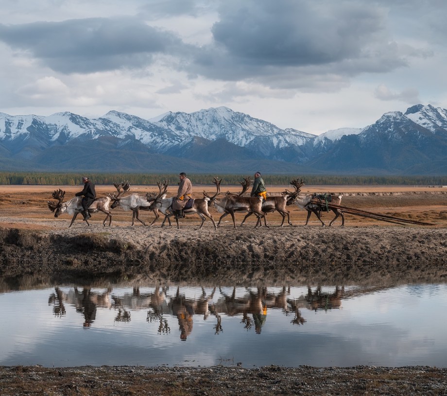 蒙古北部的驯鹿部落 摄影师Daniel Kordan