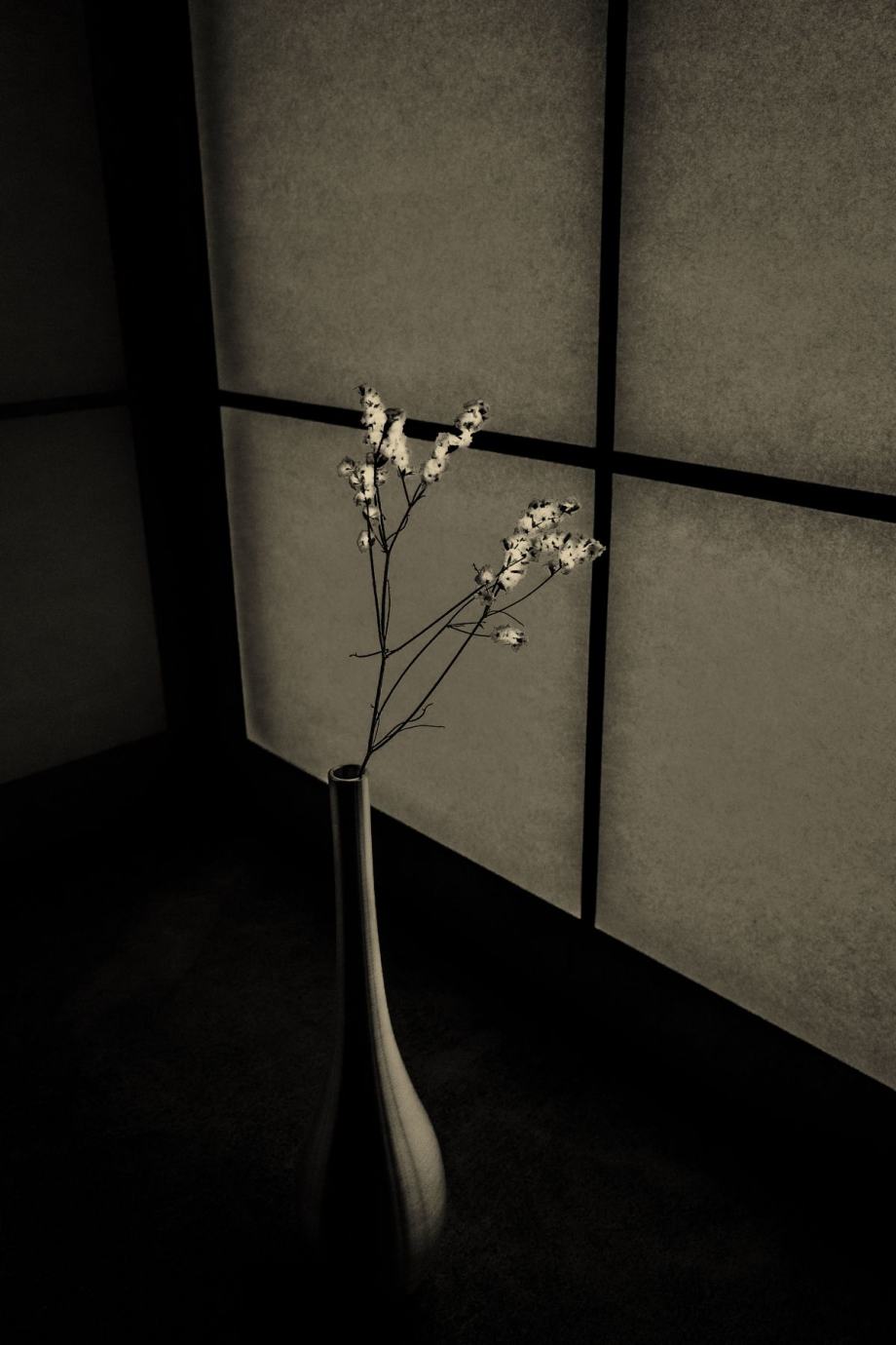 禅意的东方美学 | 摄影师Paul Cupido