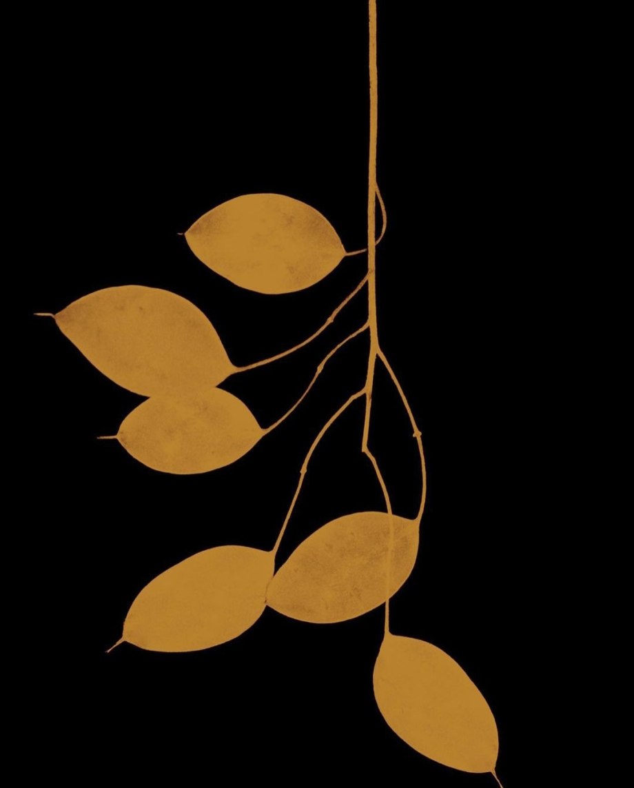 禅意的东方美学 | 摄影师Paul Cupido