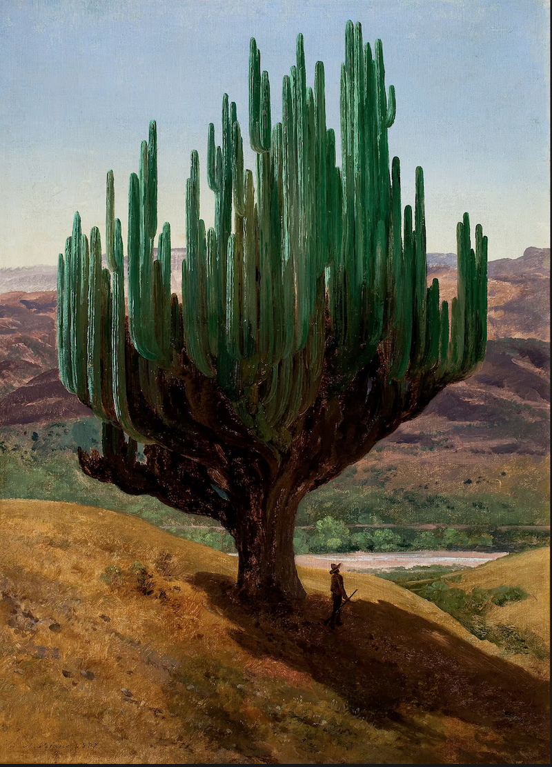 何塞·玛丽亚·贝拉斯科《卡东，瓦哈卡州》