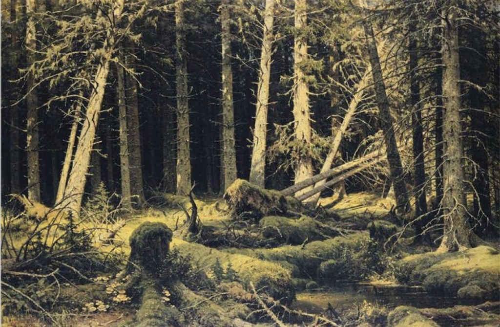 伊凡·希施金，《被风吹倒的树》，1888年