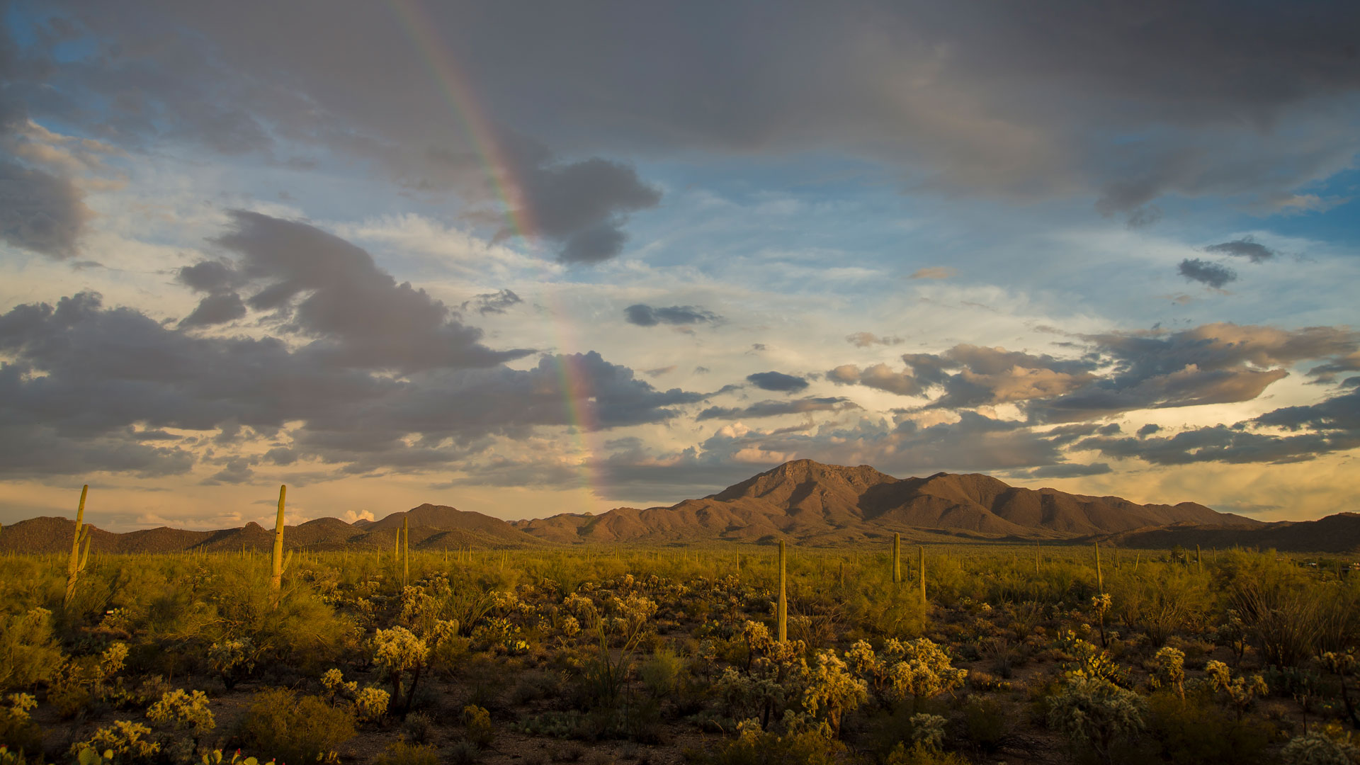 亚利桑那州巨人柱国家公园沃森峰上出现彩虹