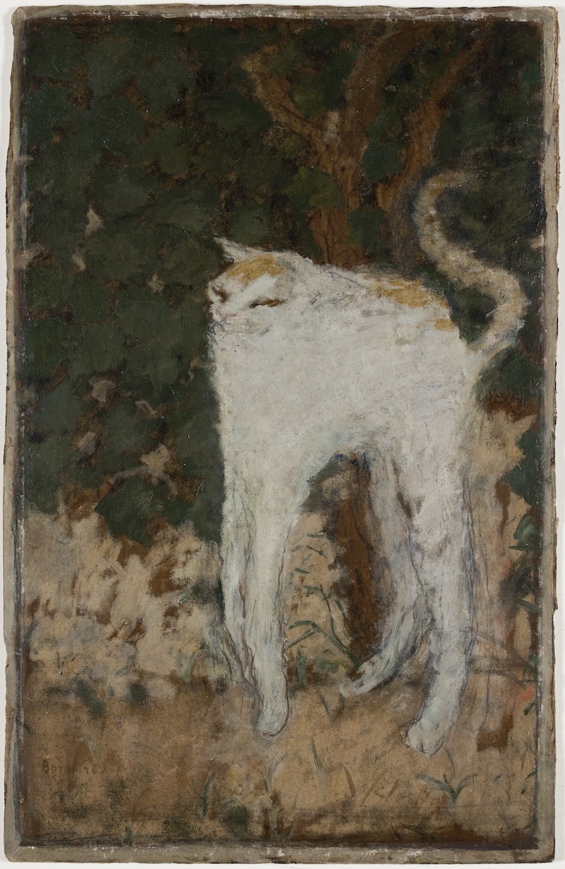 皮埃尔·博纳尔《白猫》1894，纸板油画© photo : Musée d’Orsay，Dist. RMN-Grand Palais / Patrice Schmidt