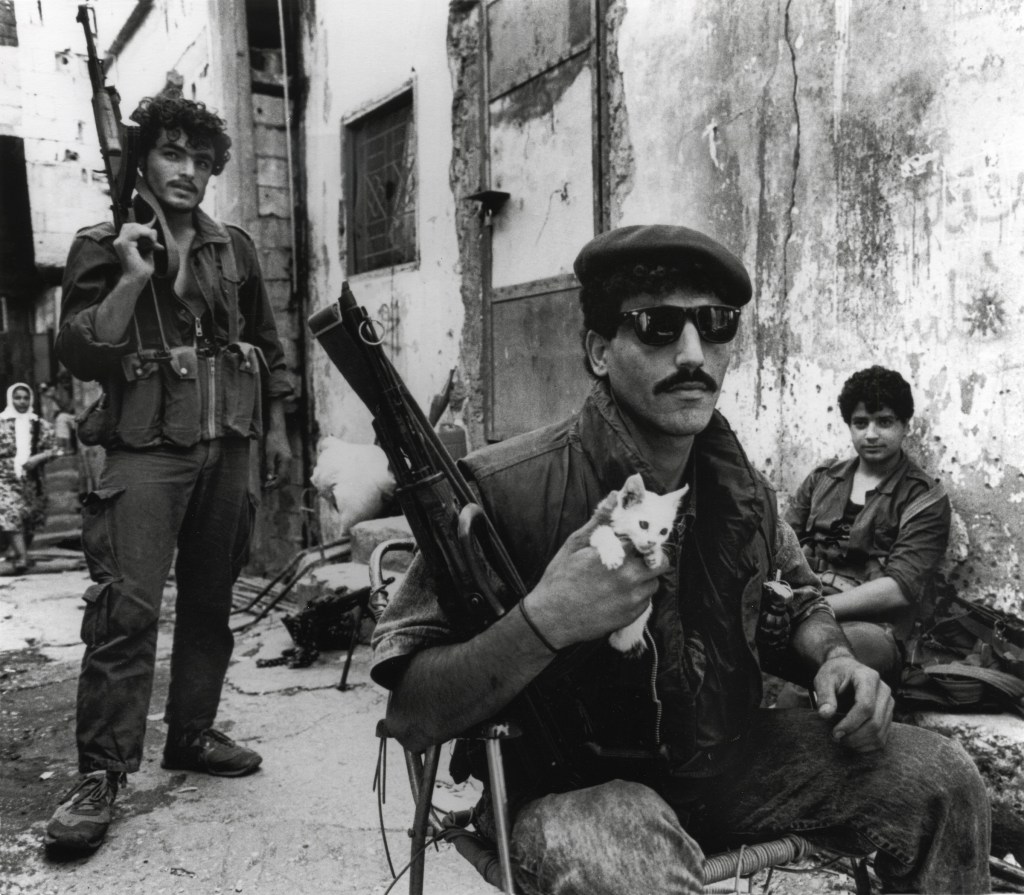 In 1988，photojournalist and photo editor Aline Manoukian captured an image of a Palestinian militiaman holding a white kitten in Lebanon’s Burj Al Barajneh refugee camp. That photo would go on to circulate for decades，recently appearing across social media platforms in doctored forms，including as a colorized poster