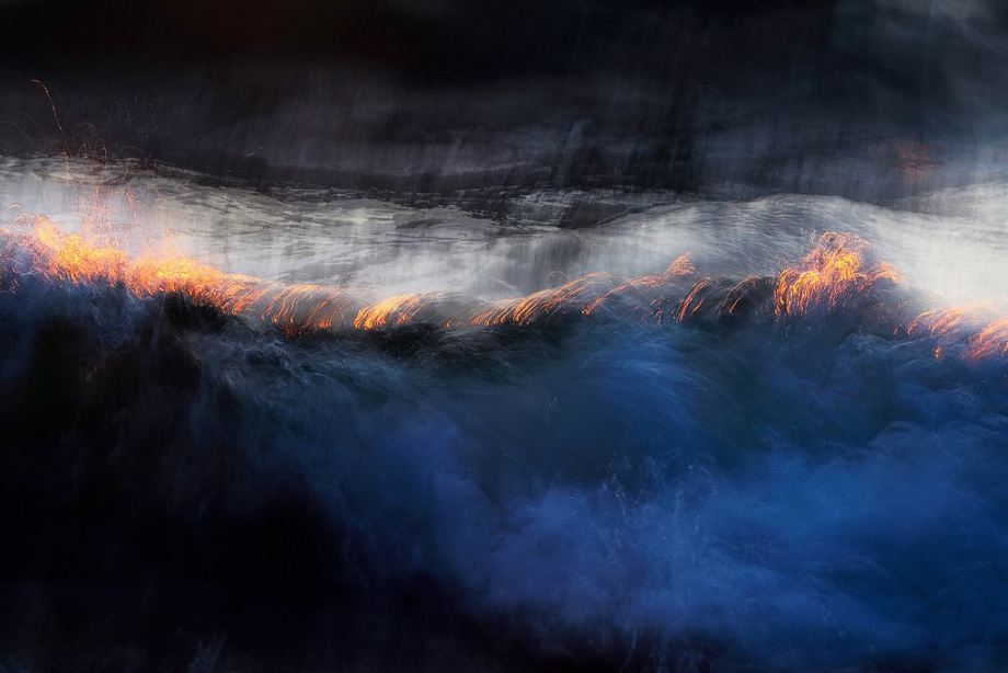 发光的海 | Sandra Bartocha