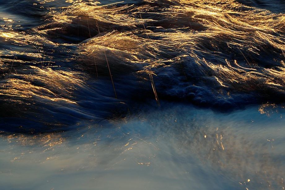 发光的海 | Sandra Bartocha