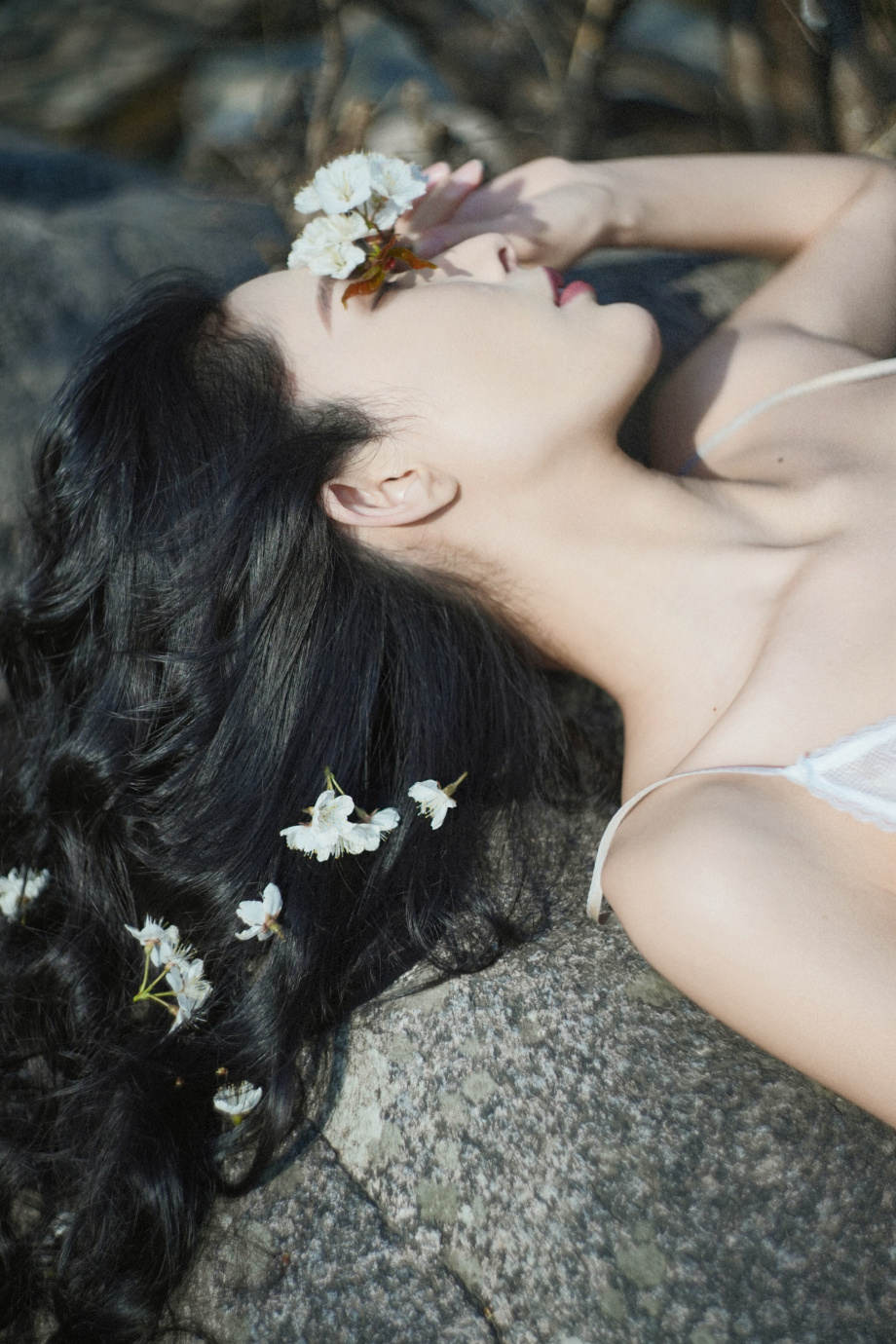 樱花在风的诗里