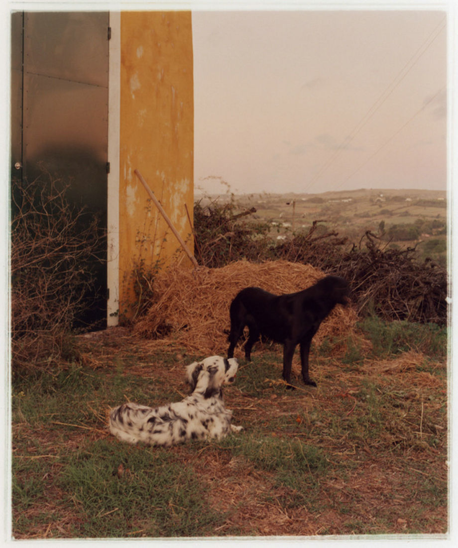 世界的親密和疏離 攝影師 Wade Schhaul 的作品，以獨特的視覺溫暖和親密感為特徵。為了創造出既個性化又永恆的影像，並對光線、色彩和紋理保持敏銳的敏感性，攝影師致力於與主體建立真實的聯繫，以便自然地發展細微的差別