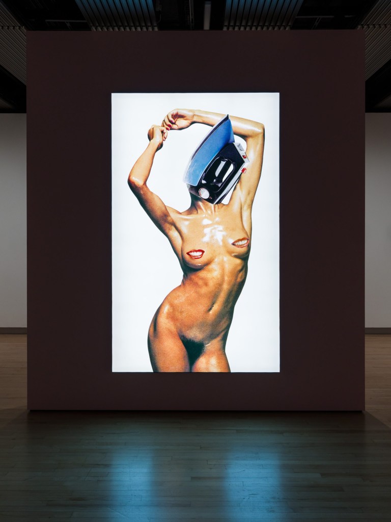 Installation view of Linder，“It’s The Buzz，Cock!” (2015) (photo by Mark Blower，courtesy the artist and the Hayward Gallery; all other photos Anna Souter/Hyperallergic)