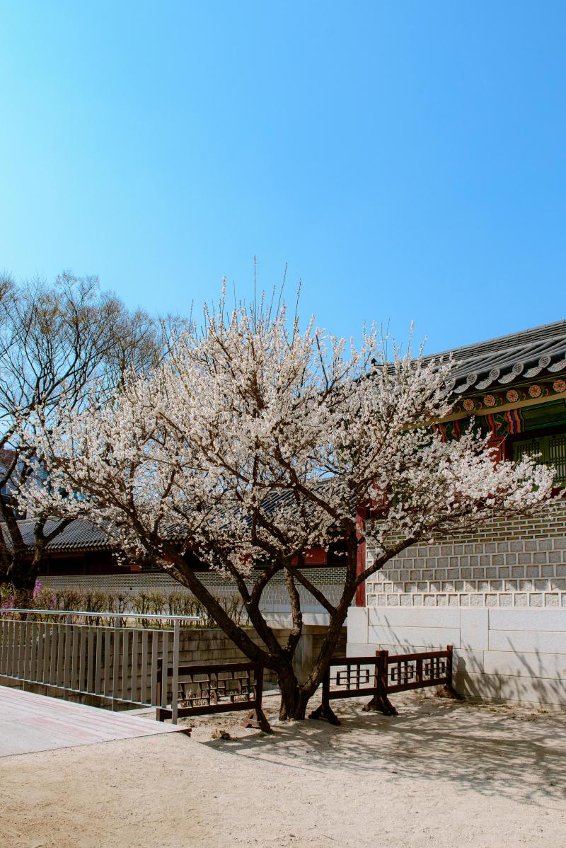 Featured image of post 「SF周刊」2025年第9期（总第9期）