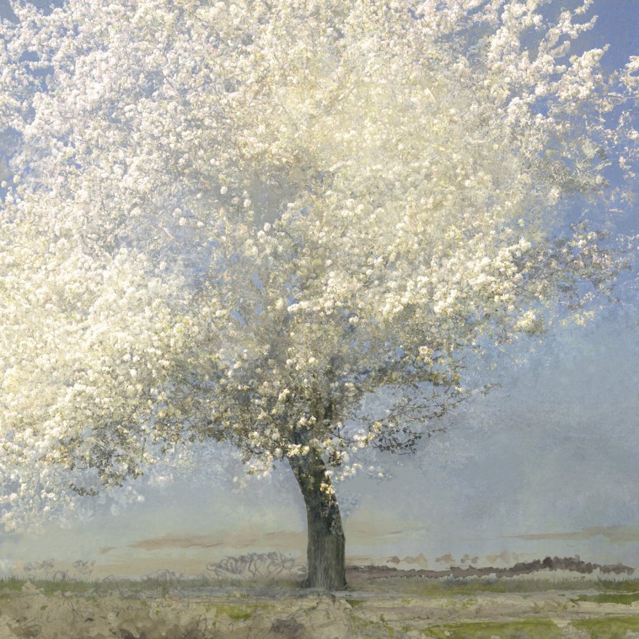 迷幻风景 摄影师Saskia Boelsums