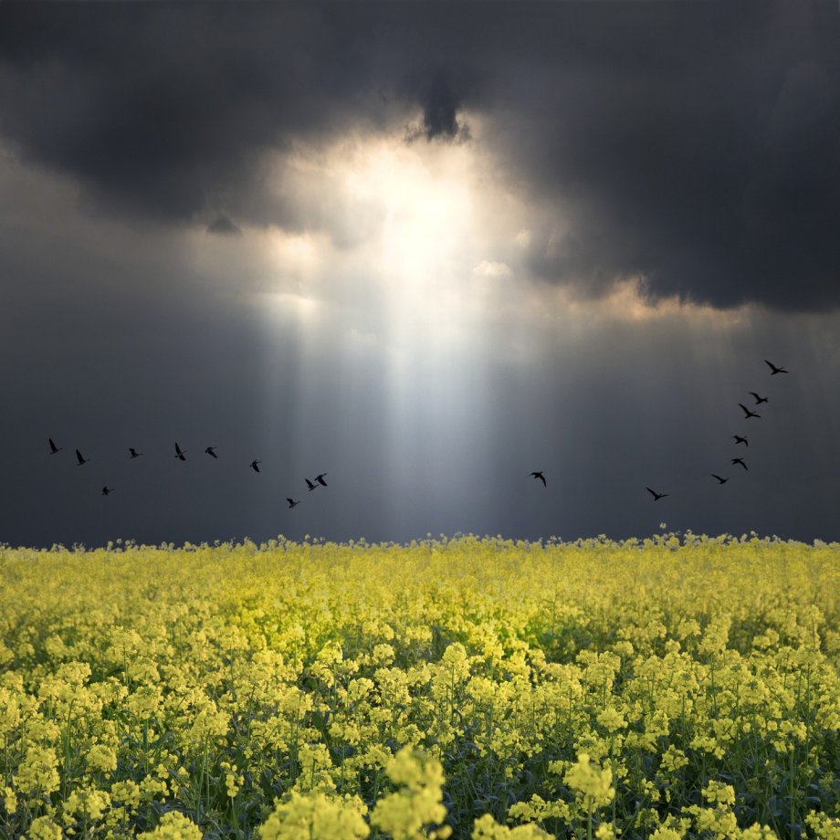 迷幻风景 摄影师Saskia Boelsums